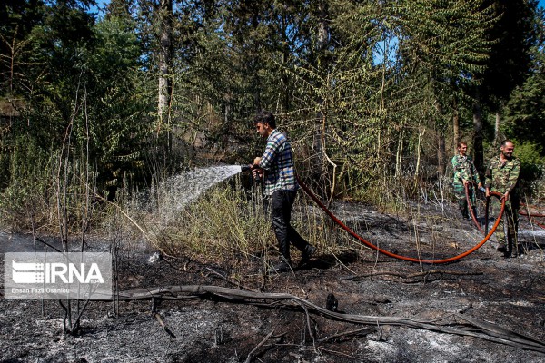 مهار آتش‌سوزی در جنگل های “سنبل رود” شیرگاه